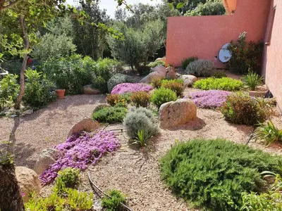 a garden with flowers and plants in a yard at Mini-villas Célia à BONIFACIO in Bonifacio