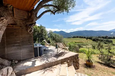 a patio of a house with a tree at Cabane Dans les Arbres, Domaine de l Ogliastru in Olmeto