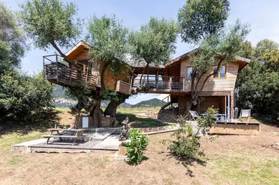 a log cabin in a tree with a deck at Cabane Dans les Arbres, Domaine de l Ogliastru in Olmeto