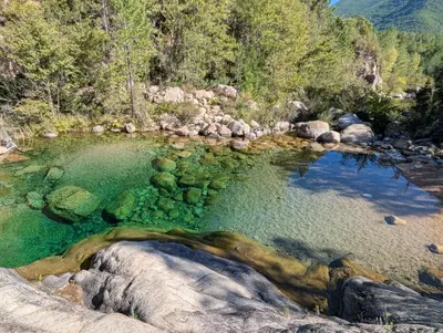 a pool of green water with rocks and trees at Les Terrasses De Vignola in Porto-Vecchio