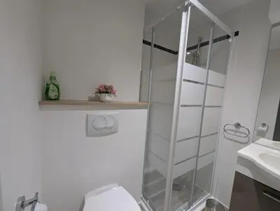 a bathroom with a shower and a toilet and a sink at Les Terrasses De Vignola in Porto-Vecchio