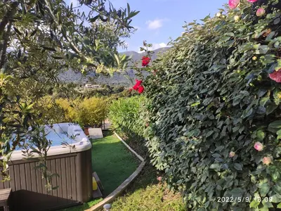 a garden with a large hedge with roses at Claude et Marie-France in Alata