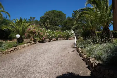 a road with flowers and palm trees in a park at Vue mer Corse in Conca