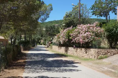 a road with pink flowers and a stone wall at Vue mer Corse in Conca
