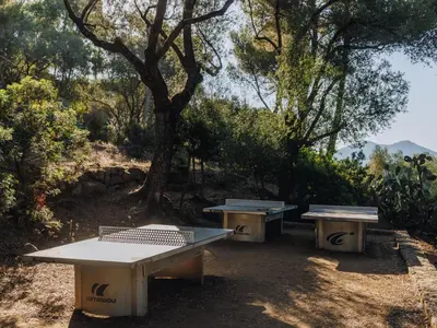 three picnic tables sitting next to a tree at Vigna Maggiore in Olmeto
