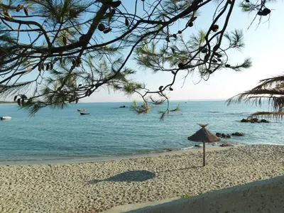 a beach with a straw umbrella and the ocean at BAGHEERA Village Naturiste in Linguizzetta