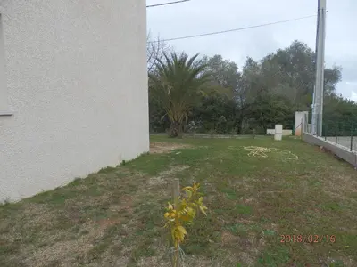 a plant in a yard next to a building at location vacances in Linguizzetta