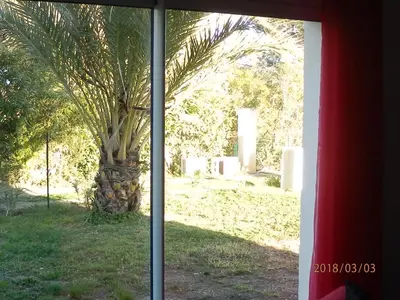 a view of a palm tree from a window at location vacances in Linguizzetta