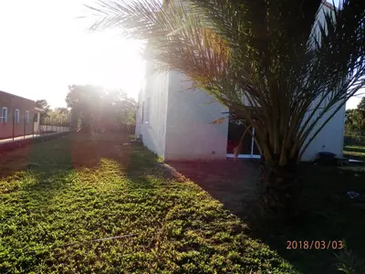 a palm tree next to a white wall at location vacances in Linguizzetta