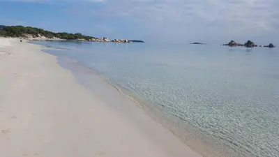 a beach with the ocean and rocks in the distance at Locations Résidence Rocca Rossa Palombaggia classées 3 étoiles in Porto-Vecchio