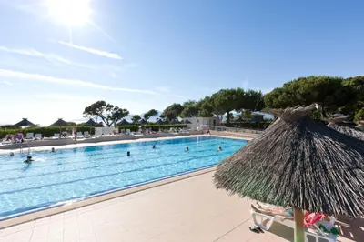 a large swimming pool with a straw umbrella at Hotel Club Marina Viva in Porticcio