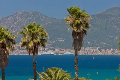 a group of palm trees in front of a body of water at Hotel Club Marina Viva in Porticcio