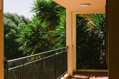 a balcony with a black fence and palm trees at Creste E Mare in Ajaccio