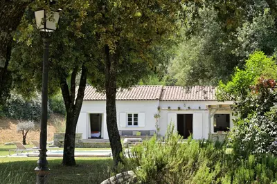 a white house in a park with trees at Domaine de Bracciole in Corte