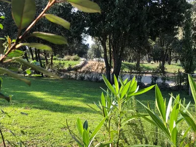 a field of grass with trees and a body of water at Domaine de Bracciole in Corte