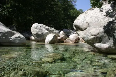 a river with rocks in the middle of it at Domaine de Bracciole in Corte