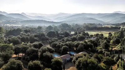 an aerial view of a forest of trees and mountains at Domaine de Bracciole in Corte