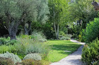 a garden with trees and grass and a path at Lodge de Charme A Cheda in Bonifacio