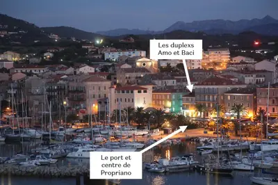 a city at night with a harbor with boats at Duplex en plein centre in Propriano