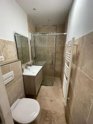 a bathroom with a toilet and a shower and a sink at Duplex en plein centre in Propriano