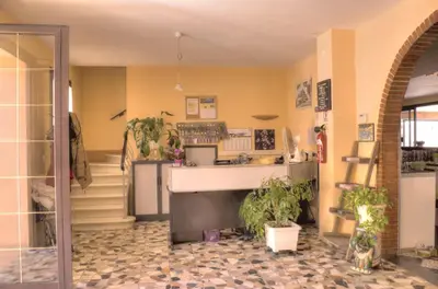 a lobby with a counter and potted plants at Brise de Mer in Porto Ota