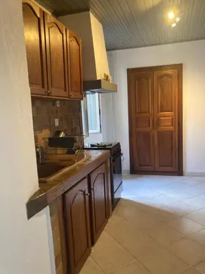 a kitchen with wooden cabinets and a sink and a door at Casa a Stretta in Castello-di-Rostino