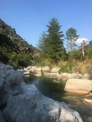 a stream of water with rocks and trees at Casa a Stretta in Castello-di-Rostino