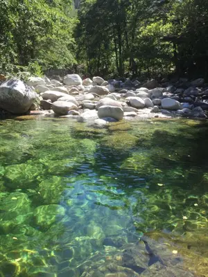 a river with rocks and clear water and trees at Casa a Stretta in Castello-di-Rostino