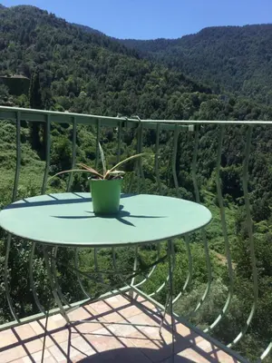 a table with a potted plant sitting on top of a balcony at Casa a Stretta in Castello-di-Rostino