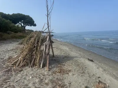 a pile of sticks on the beach at Appartement n 79 Moriani plage in Santa-Lucia-di-Moriani