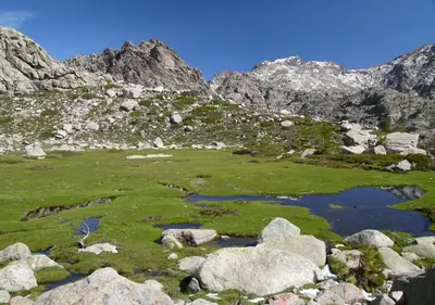 a field of grass and rocks with mountains in the background at Castel de Vergio in Albertacce