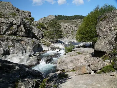 a river flowing through a rocky canyon with trees at Castel de Vergio in Albertacce