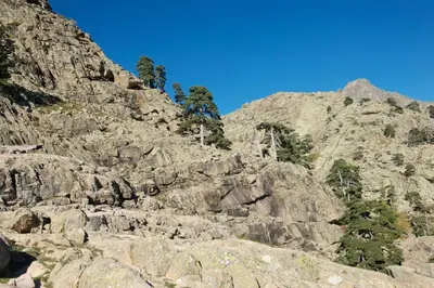 a rocky mountain with trees on the side of it at Castel de Vergio in Albertacce