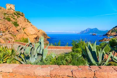 a retaining wall with a view of the ocean at Hôtel & Résidence Le Subrini in Porto Ota