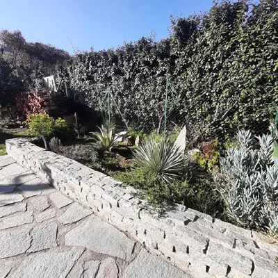 a stone retaining wall with plants in a garden at mini villa Marcel classée 3 étoiles in Calenzana