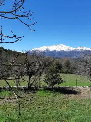 a field with snow covered mountains in the background at Casa san salvadore in Favalello