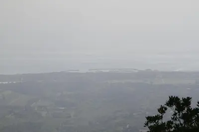 a view from the top of a hill with trees and fields at Rustica in Prunete