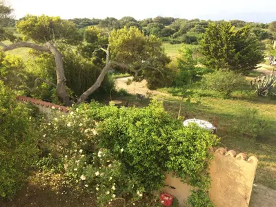 a view of a garden with bushes and trees at A Loghja Di Cavallo Morto in Bonifacio