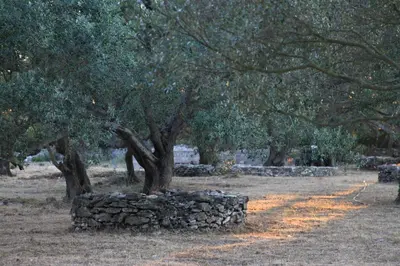 a stone wall in front of a group of trees at A Loghja Di Cavallo Morto in Bonifacio