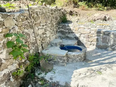 a stone wall with a dog in a blue bowl at Casa Orani in Ponte-Leccia