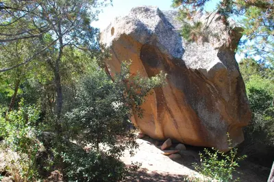a large rock in the middle of a forest at Residence Ribellinu in Pianottoli-Caldarello