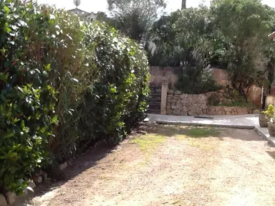 a garden with two large bushes and a stone wall at 10 Casa scaledda 3 étoiles in Porto-Vecchio