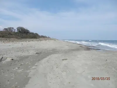 an empty beach with the ocean in the background at corse location in Linguizzetta