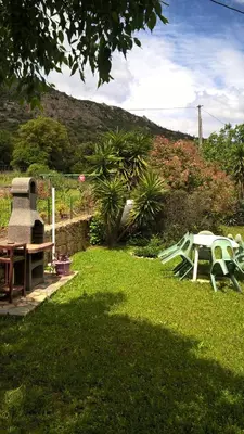 a yard with a picnic table and a bench at Villa Pastriccialone in Afa