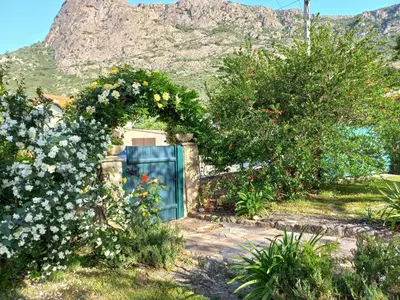 a garden with flowers in front of a blue door at Villa Pastriccialone in Afa