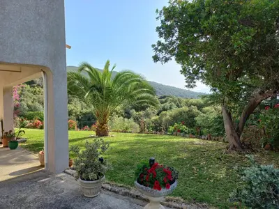 a garden with flowers in a yard next to a building at Villa Pastriccialone in Afa
