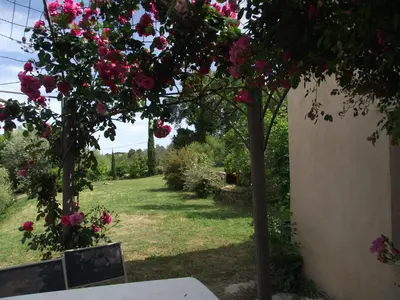a tree with pink flowers in a yard at soleil et farniente in Cervione