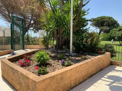 a garden with a palm tree and flowers at Studio Bord De Mer in Santa-Lucia-di-Moriani