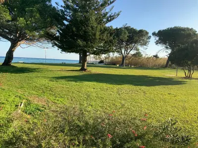 two trees in a field with the ocean in the background at Studio Bord De Mer in Santa-Lucia-di-Moriani