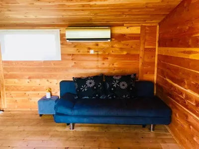 a blue couch in a room with wooden walls at A Casetta in Pianottoli-Caldarello